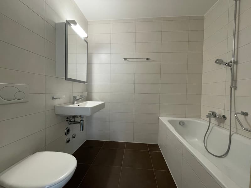 Superbe appartement de 2.5 pièces (3)