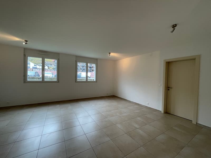 Superbe appartement de 2.5 pièces (4)