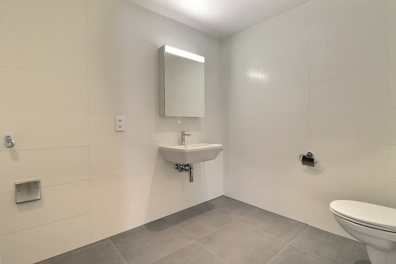 Magnifique 3.5 pièces entièrement rénové en plein centre-ville (10)
