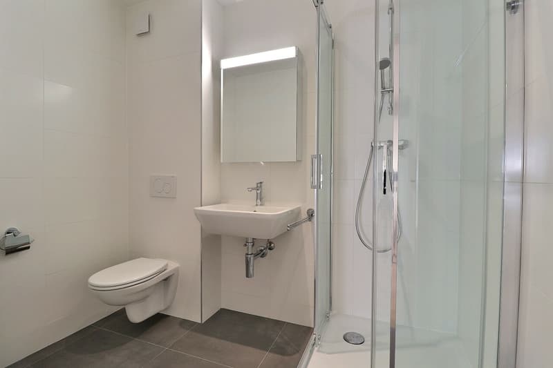 Magnifique 3.5 pièces entièrement rénové en plein centre-ville (7)