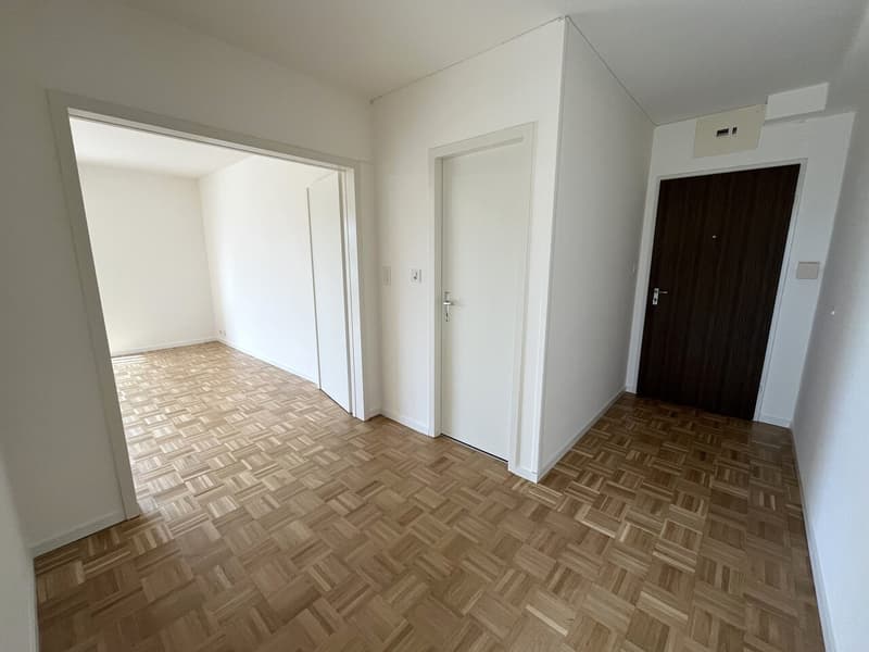 Grand studio avec balcon à Saubraz (3)