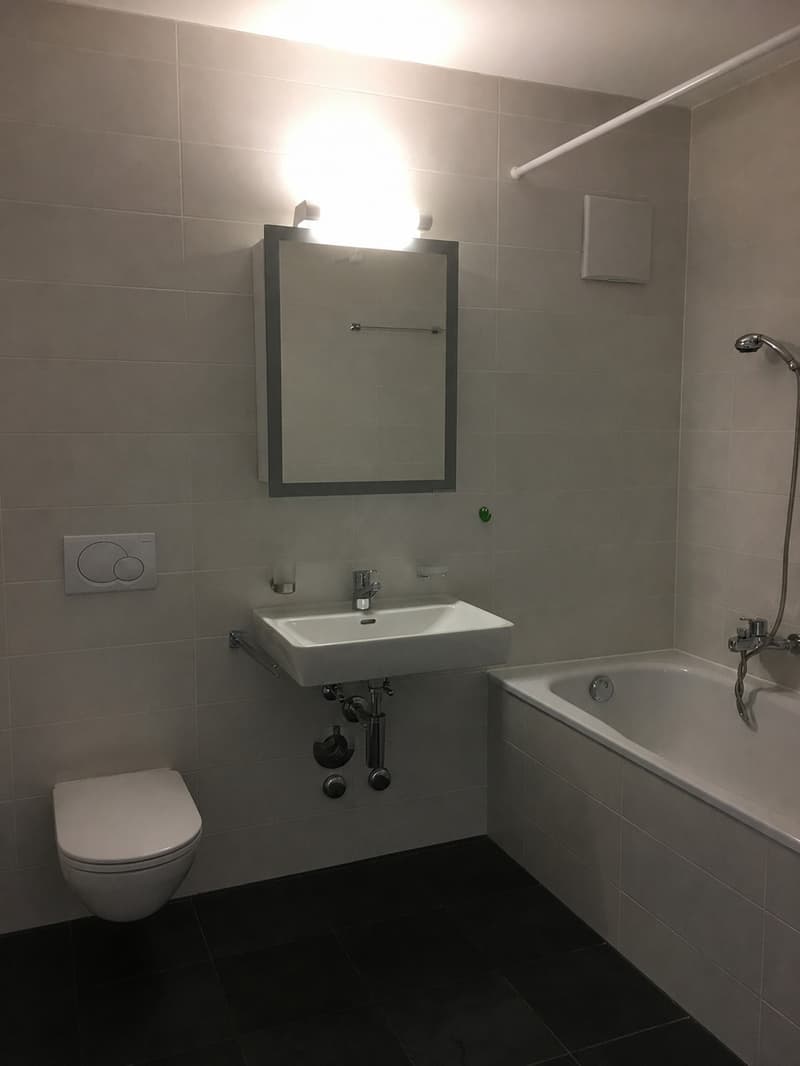 Spacieux appartement de 3.5 pièces au 2ème étage (4)