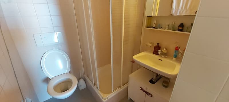 Appartement lumineux de 2.5 à louer à Territet (6)