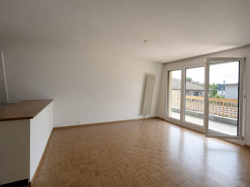 Appartement 2.5 pièces spacieux et lumineux à louer (1)