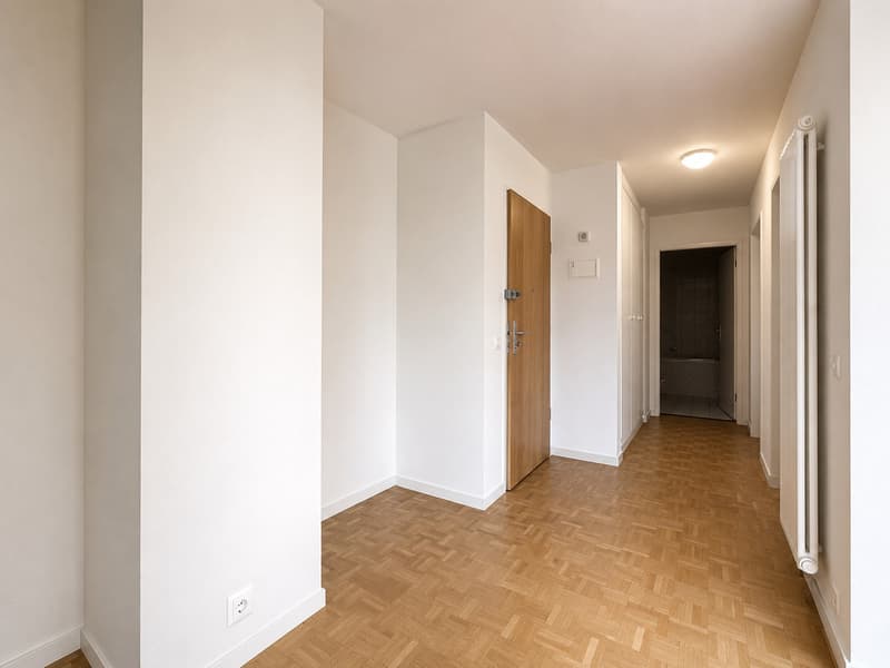 Appartement 2.5 pièces spacieux et lumineux à louer (3)