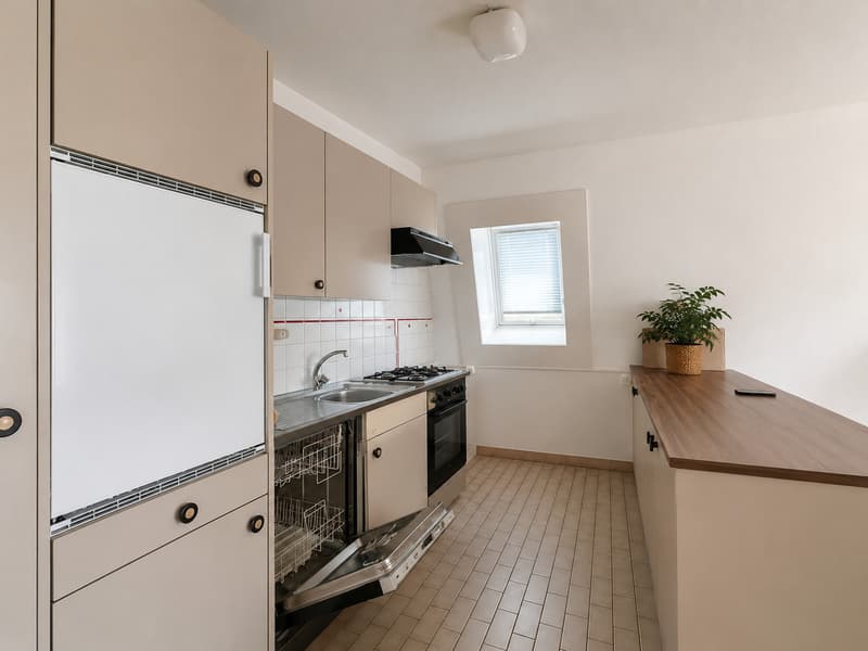 Appartement 2.5 pièces spacieux et lumineux à louer (2)