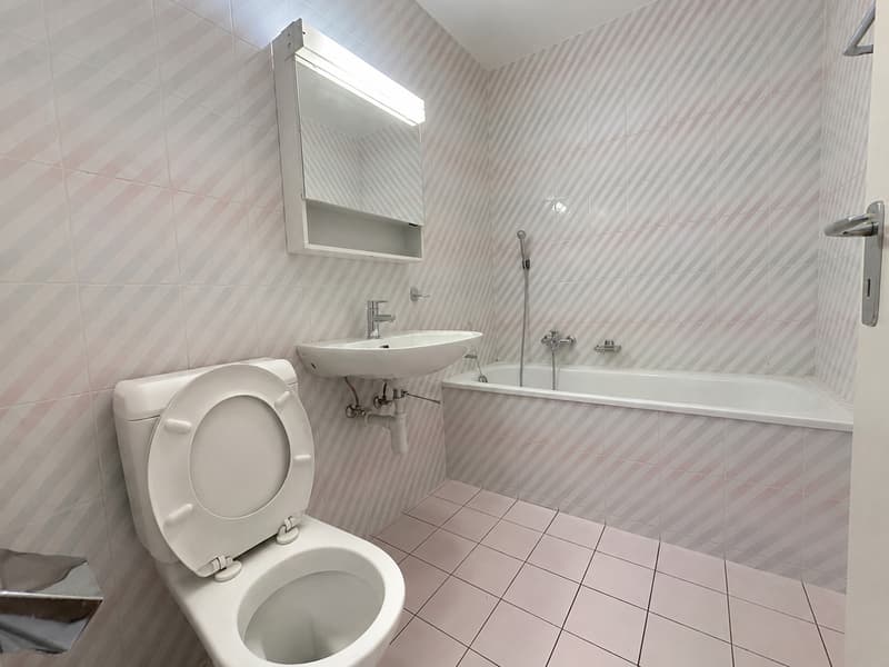 Appartement 2.5 pièces spacieux et lumineux à louer (4)