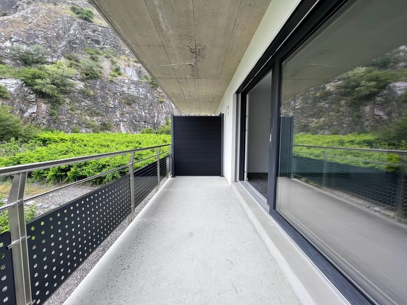 4.5 pièces avec balcon (12)