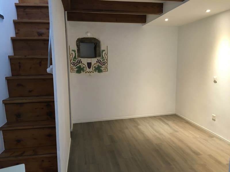 Superbe 2 pièces en duplex à Branson (4)