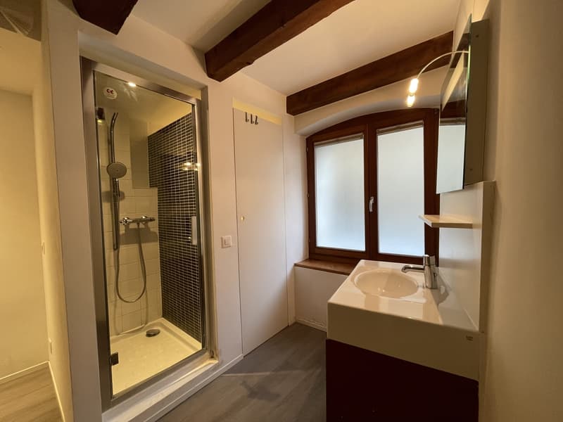 Superbe 2 pièces en duplex à Branson (6)