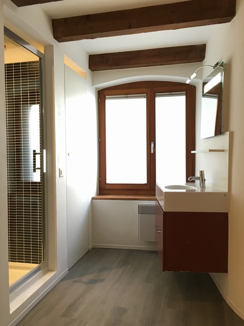 Superbe 2 pièces en duplex à Branson (2)