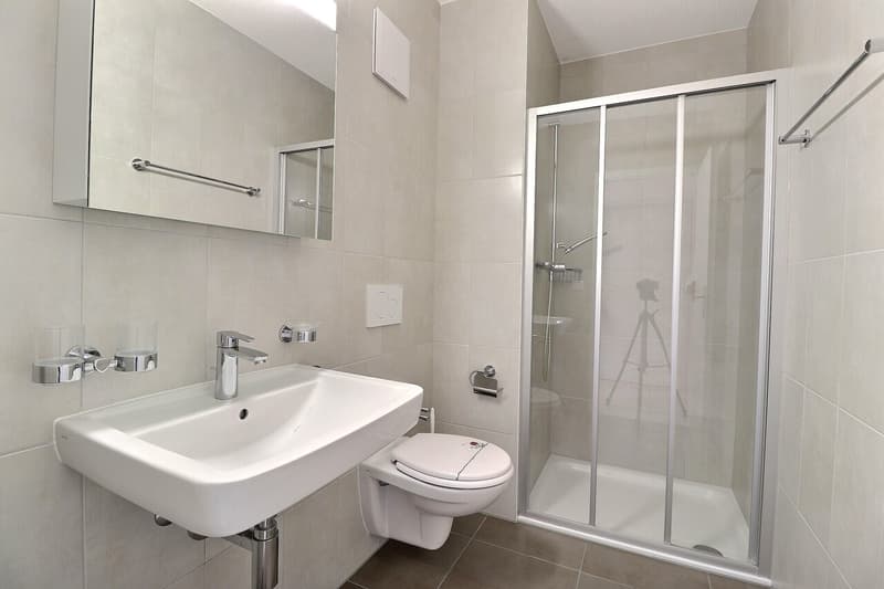 Magnifique 4.5 pièces de 96 m2 avec grand balcon (3)