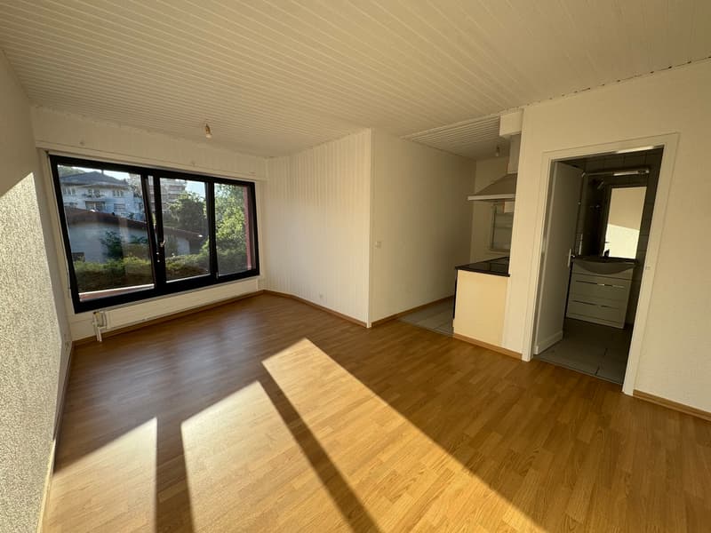 Lumineux studio partiellement rénové (1)