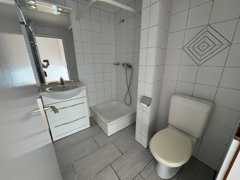 Lumineux studio partiellement rénové (4)