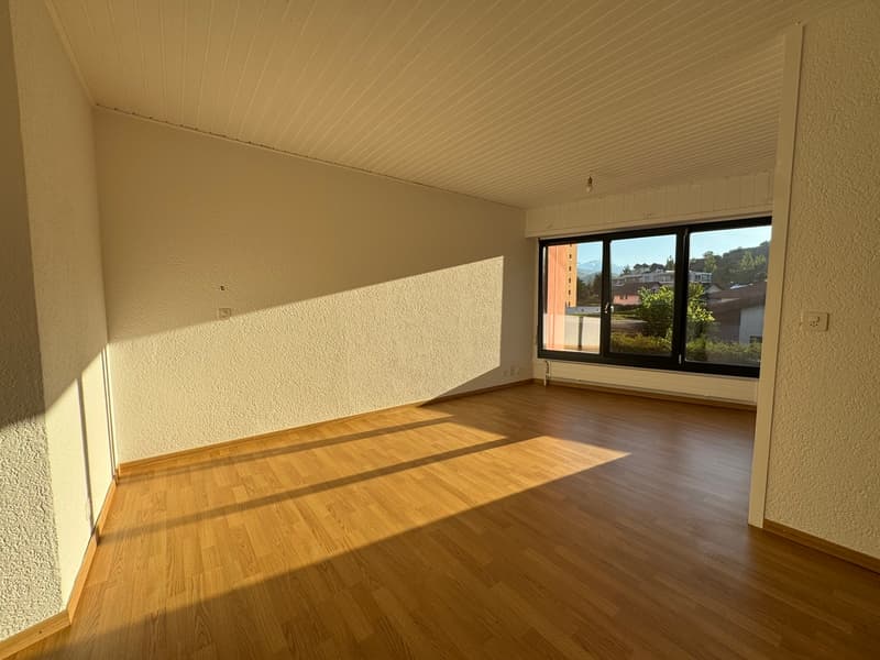 Lumineux studio partiellement rénové (5)