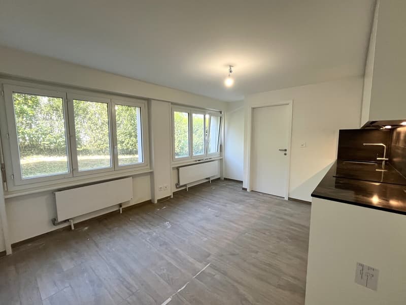 Beau studio neuf à Yens (2)