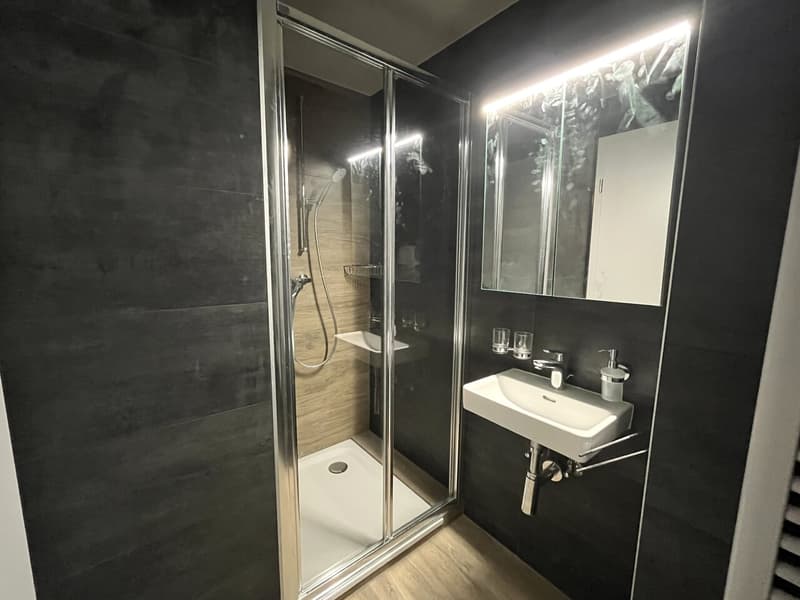 Beau studio neuf à Yens (3)