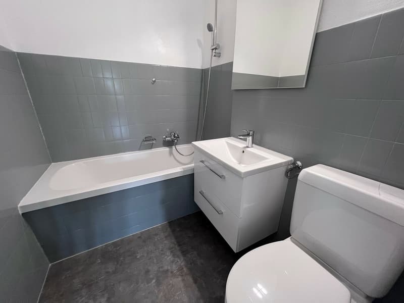 Grand 3.0 pces de 82 m2 (7)