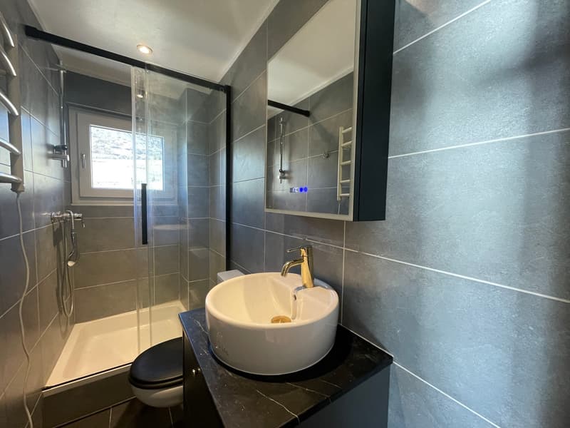 Bel appartement de 5 pièces (6)