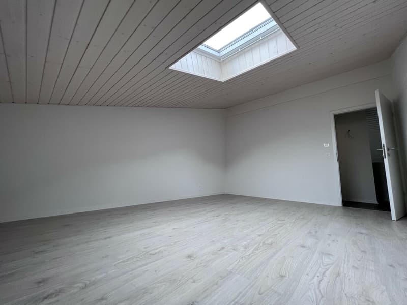 Magnifique 4.5 pièces en duplex (4)