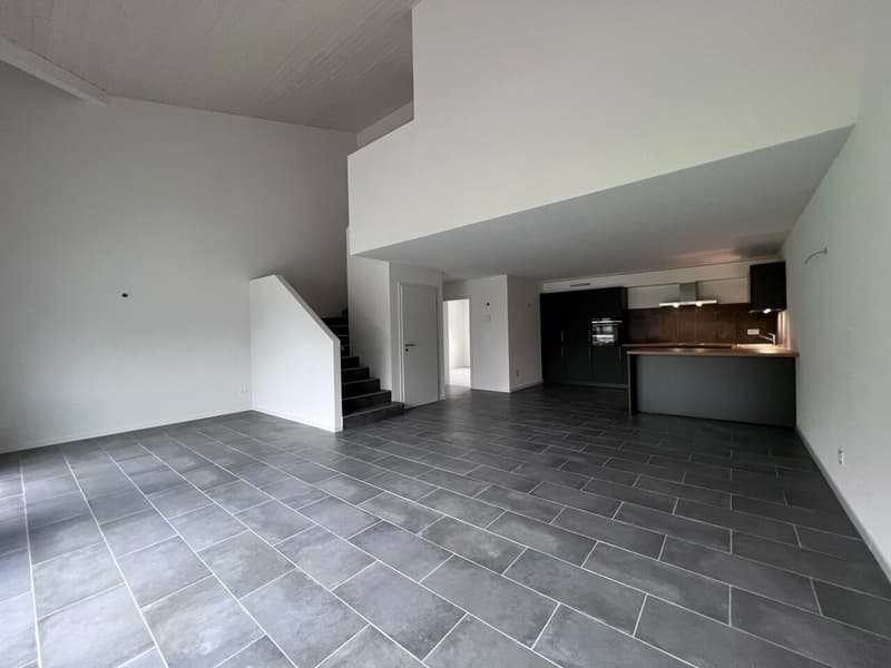 Magnifique 4.5 pièces en duplex (7)