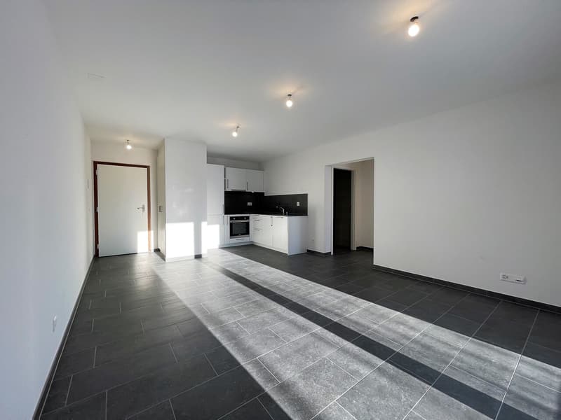 Magnifique appartement 2.5 pièces au 1er étage (1)