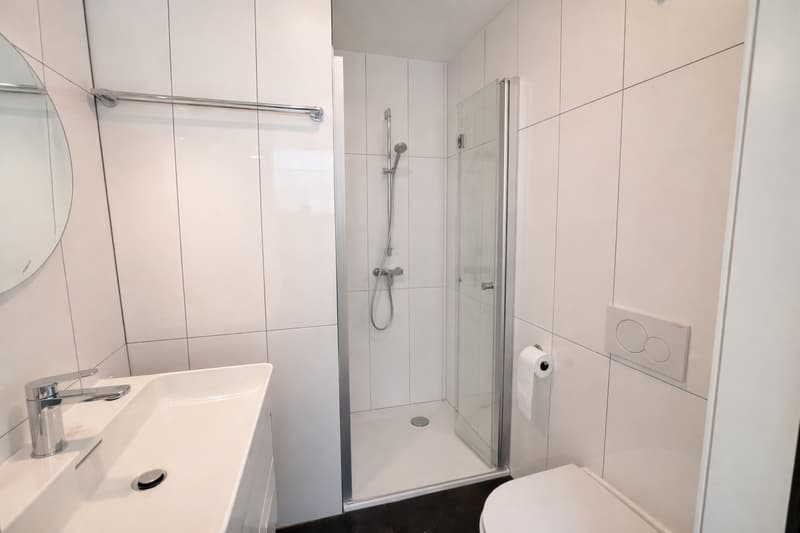 Appartement contemporain de 3.5 pièces au 2ème étage (6)