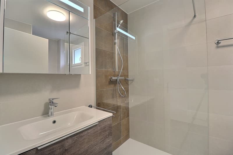 Magnifique appartement de 1 pièce au rez (3)