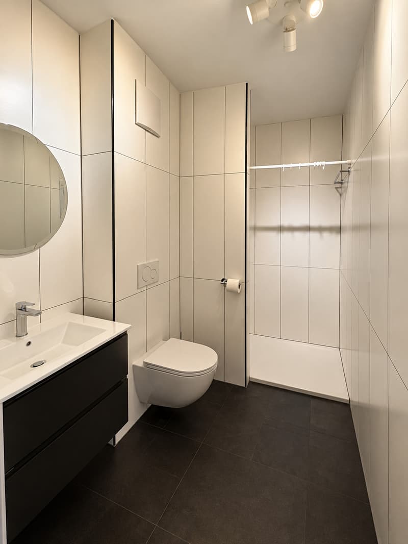 Magnifique appartement de 2.5 pièces en attique moderne à Sion (3)