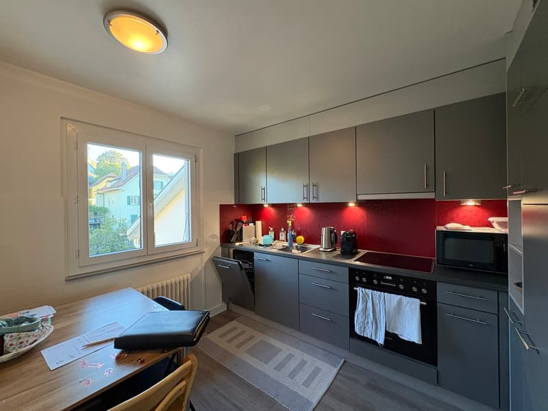 Appartement de 3.5 pièces avec magnifique vue sur le lac (3)