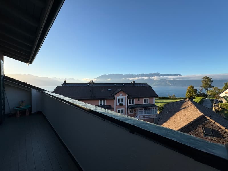 Appartement de 3.5 pièces avec magnifique vue sur le lac (8)