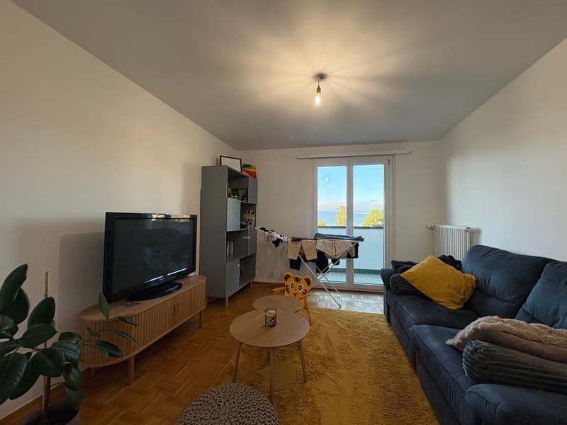 Appartement de 3.5 pièces avec magnifique vue sur le lac (1)
