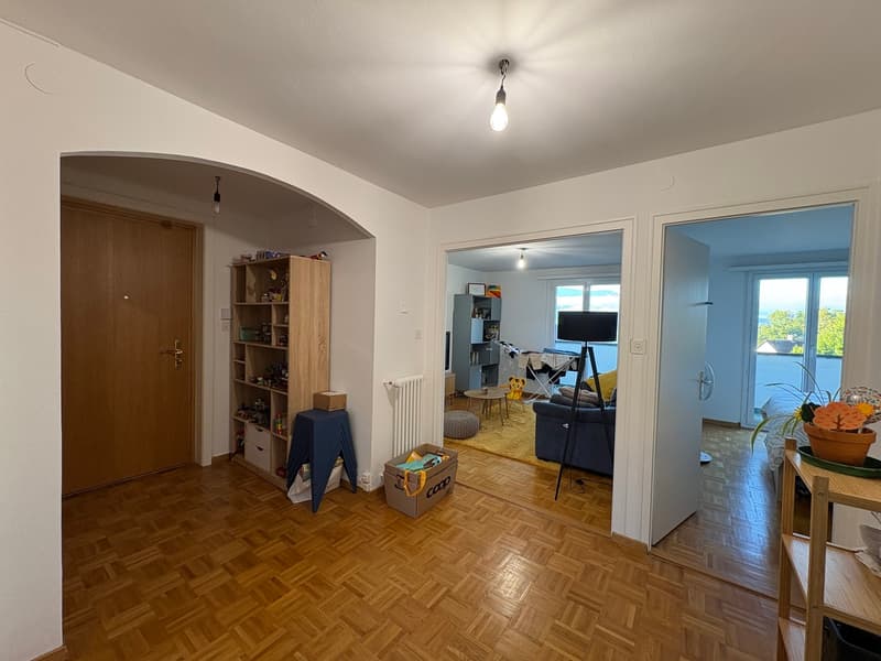 Appartement de 3.5 pièces avec magnifique vue sur le lac (2)