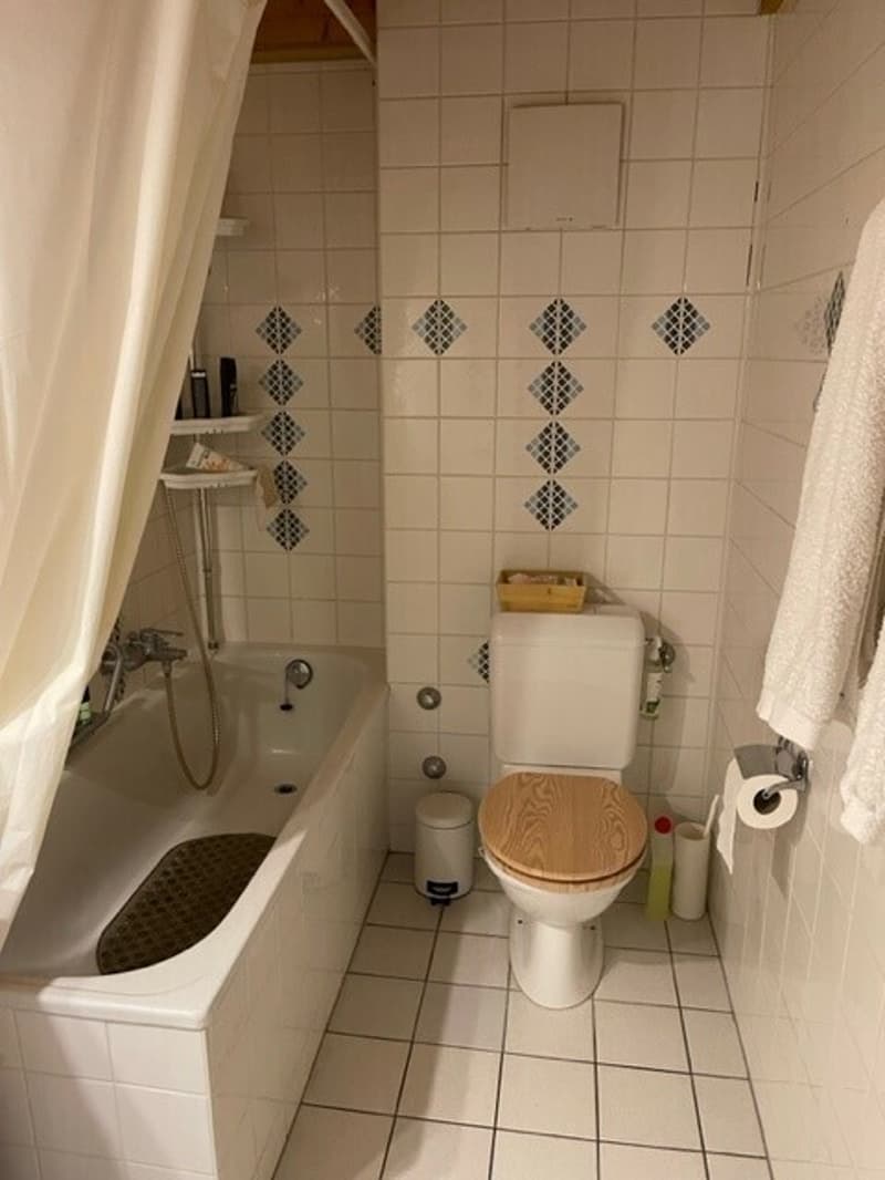 Appartement de 3.5 pièces avec mezzanine (9)