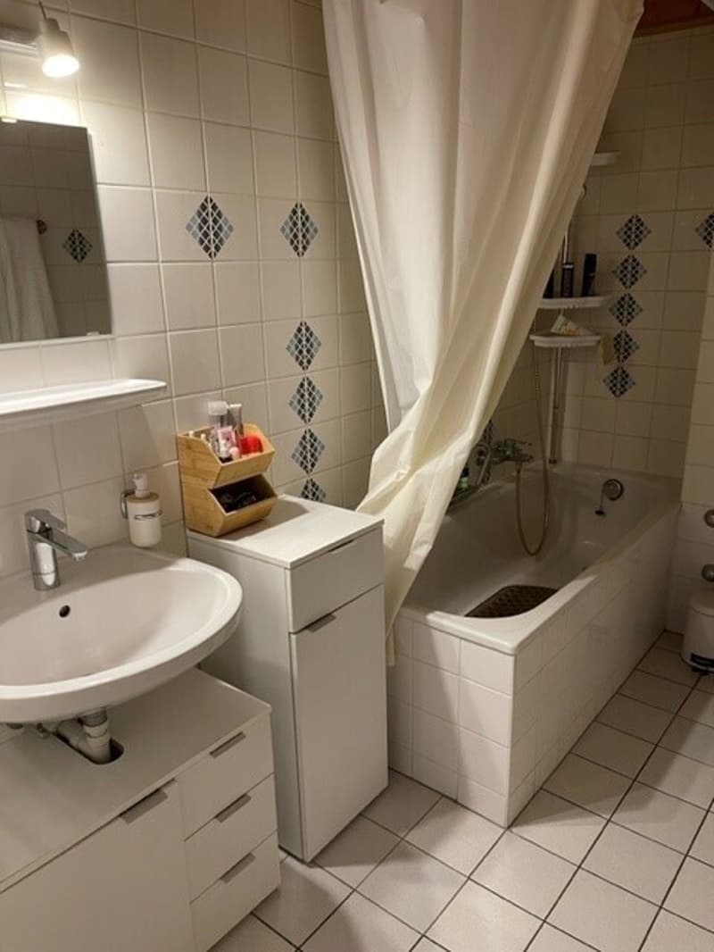 Appartement de 3.5 pièces avec mezzanine (2)