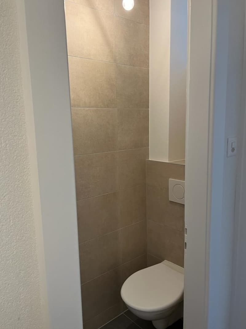 3.5 pièces au dernier étage (8)