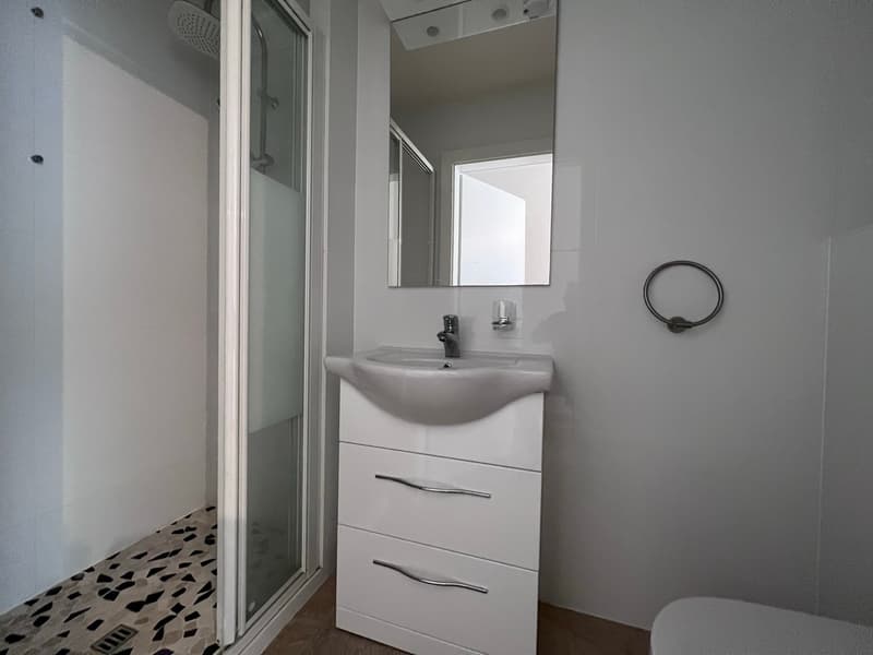 Appartement de 1.0 pièce au 2ème étage (2)