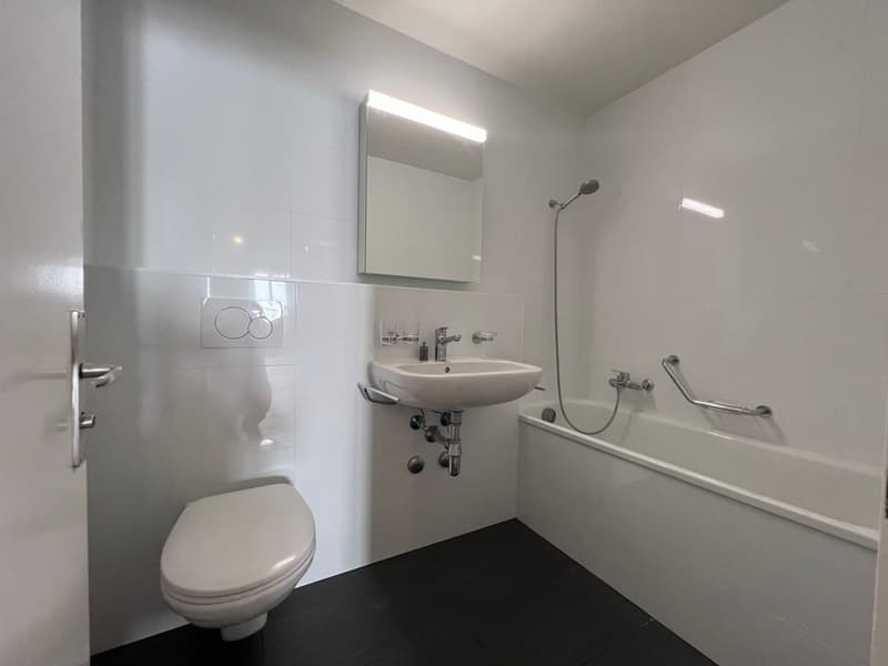 Magnifique 4.5 pièces entièrement rénové en plein centre-ville (5)