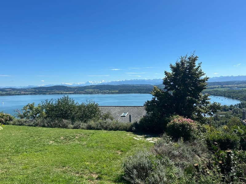 Villa sur plan avec incroyable vue sur le Lac de Morat et les Alpes (8)