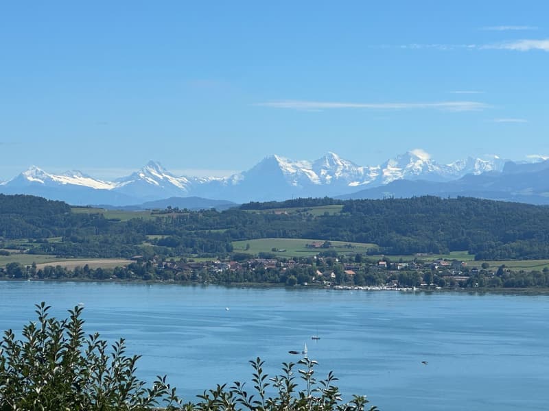 Villa sur plan avec incroyable vue sur le Lac de Morat et les Alpes (6)