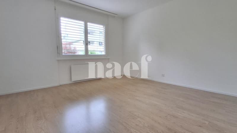 Appartement rénové (5)