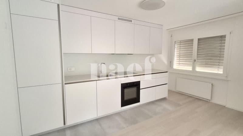 Appartement rénové (3)