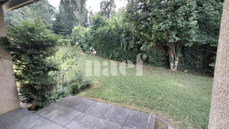 Appartement rénové (8)