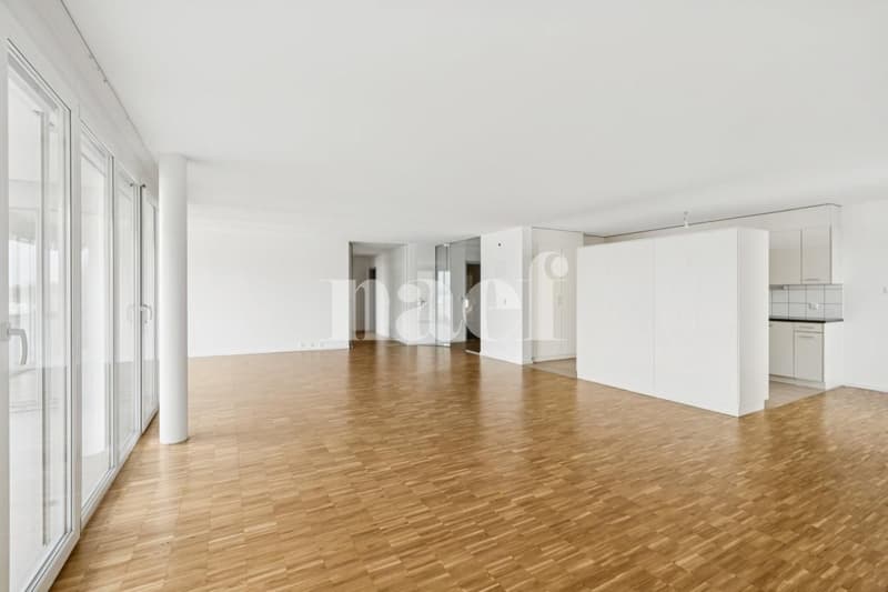 Sublime logement idéalement situé (4)