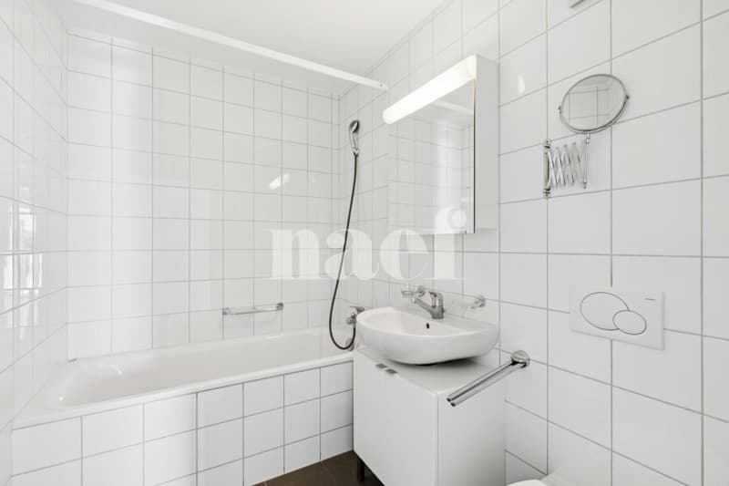 Sublime logement idéalement situé (10)
