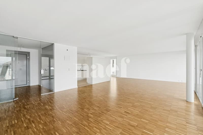 Sublime logement idéalement situé (3)