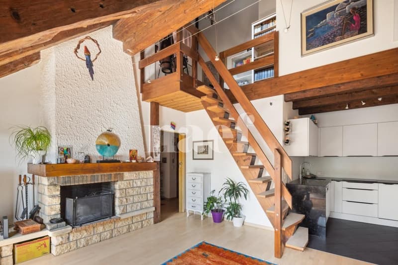 Superbe 4.5 pièces en attique duplex de 105 m² (2)