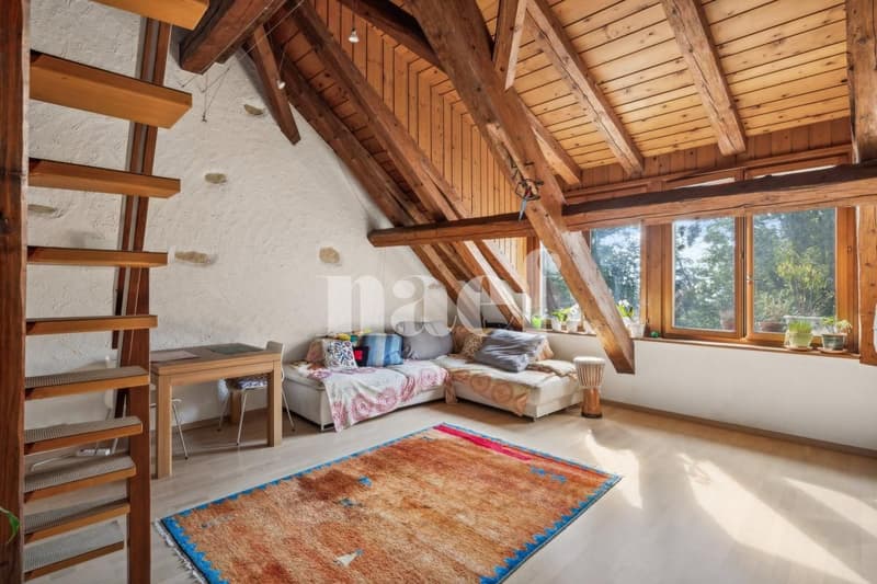 Superbe 4.5 pièces en attique duplex de 105 m² (1)