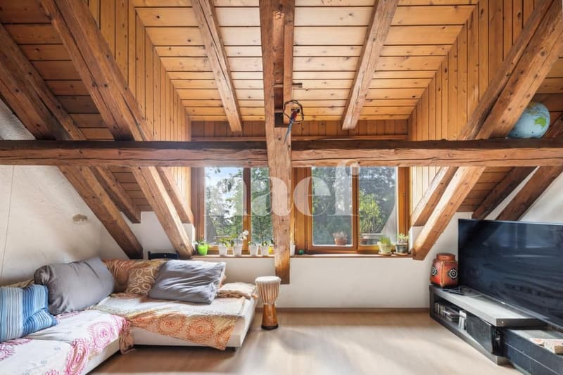 Superbe 4.5 pièces en attique duplex de 105 m² (10)