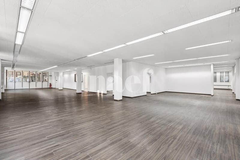 Nouvelle surface commerciale disponible de 534 m2 (3)